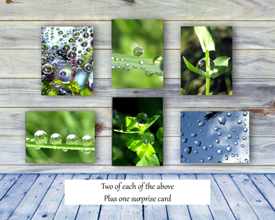 Dew Drops I Greeting Card Collection by The Poetry of Nature. Peaceful, beautiful water drop note cards, cards with poems, set of 12